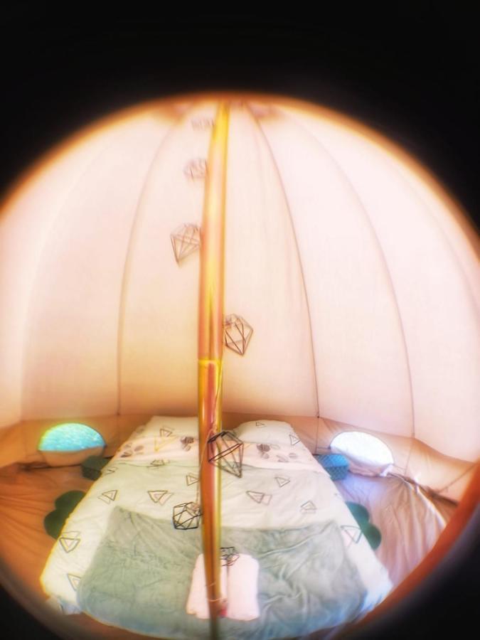 Luna Rock Glamping Brezoi - Blue Scai Extérieur photo