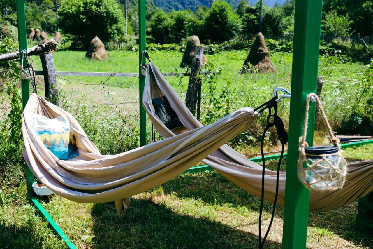 Luna Rock Glamping Brezoi - Blue Scai Extérieur photo